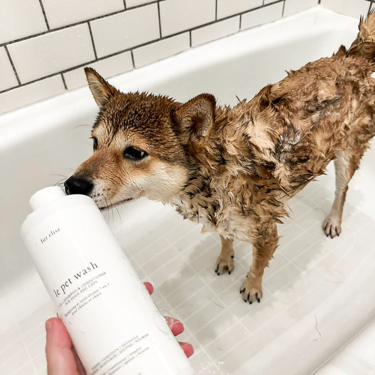 Fur Elise Le Pet Wash
