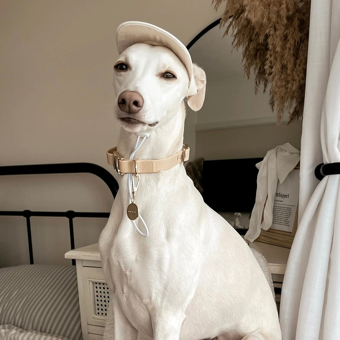 Fur Elise Collar - Sand