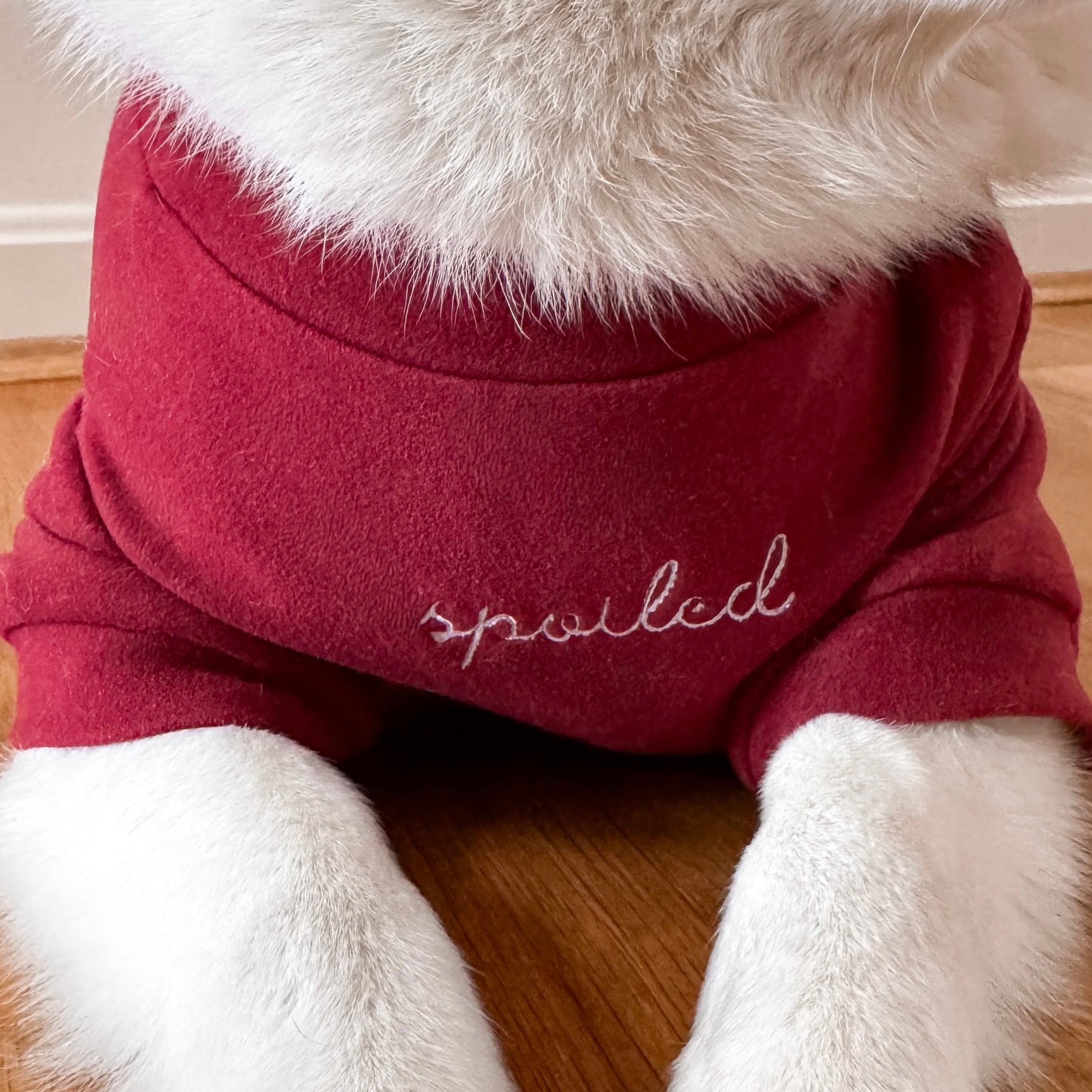 Fur Elise Spoiled Mock Neck Shirt — Lucky in Love