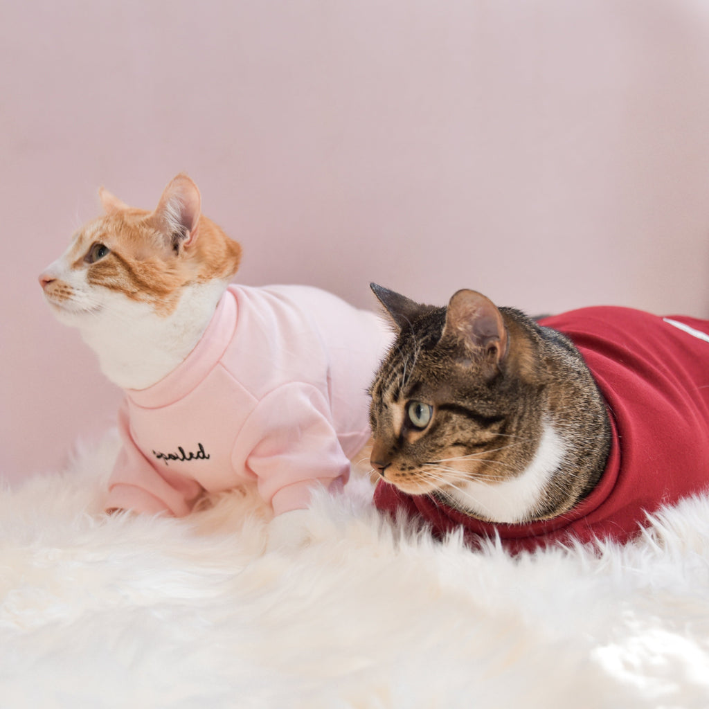 Fur Elise Spoiled Mock Neck Shirt — Lucky in Love