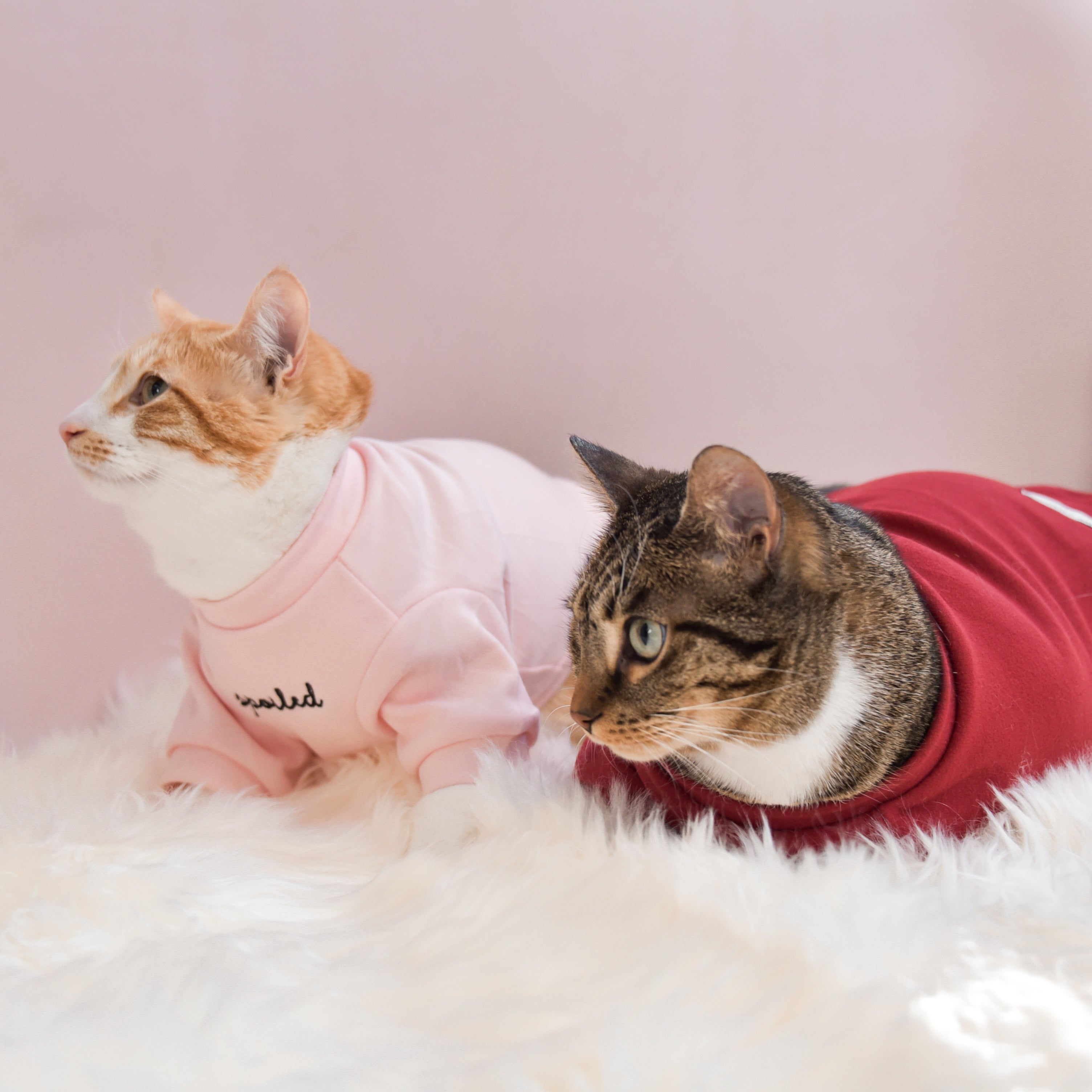 Fur Elise Spoiled Mock Neck Shirt — Lucky in Love