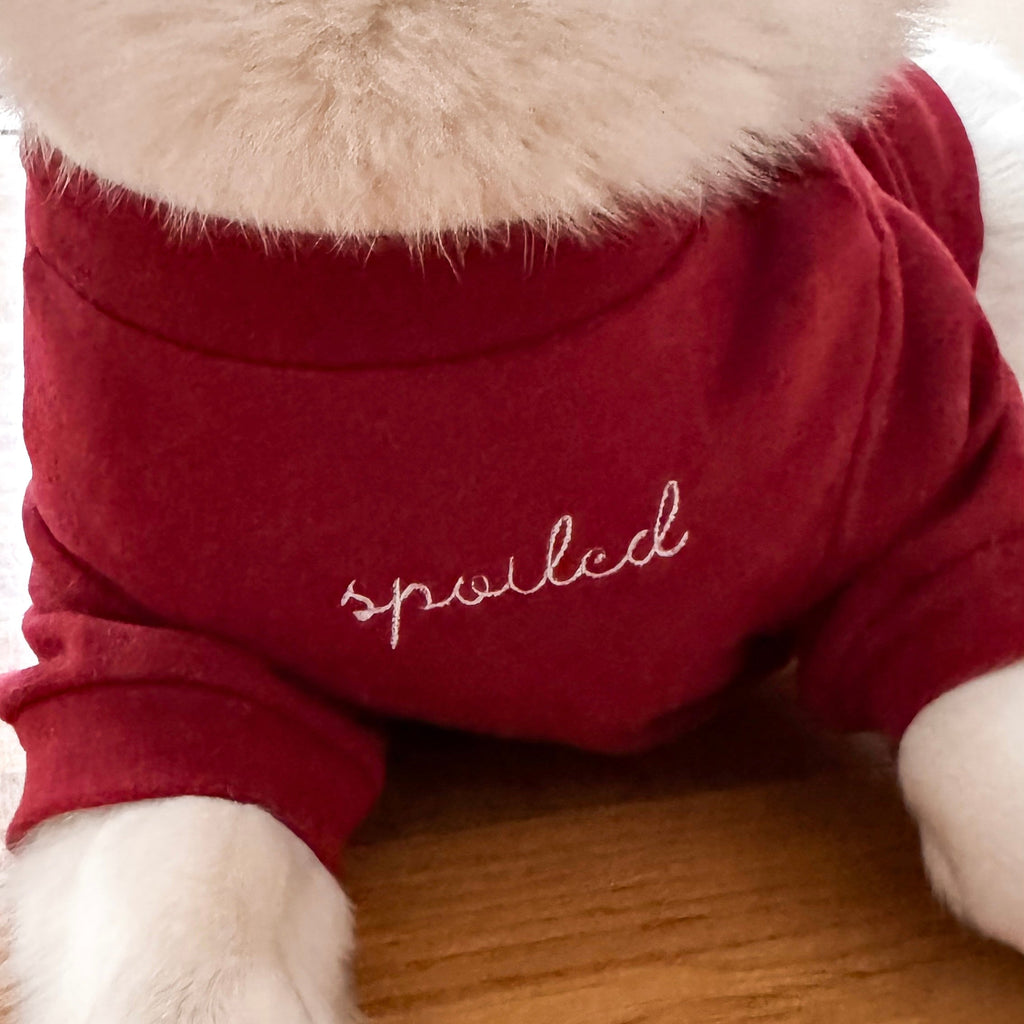 Fur Elise Spoiled Mock Neck Shirt — Lucky in Love
