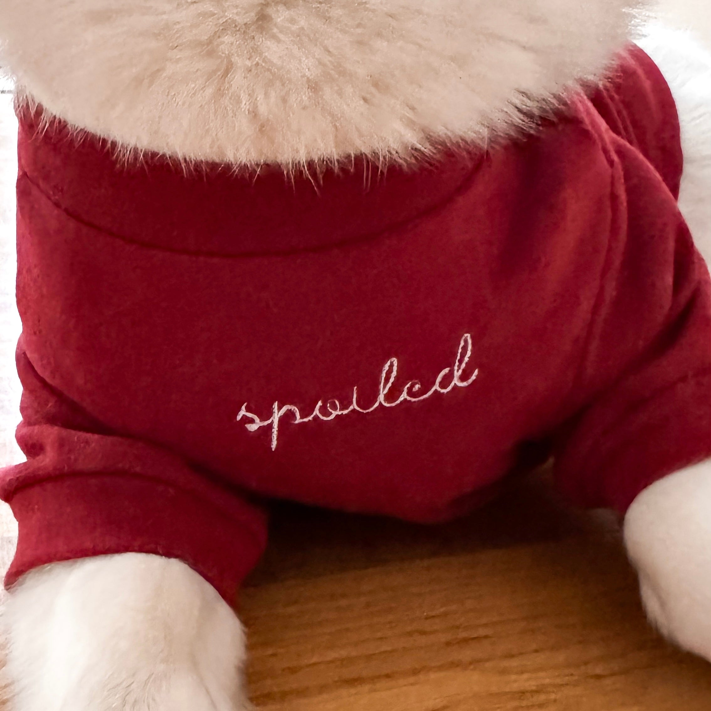 Fur Elise Spoiled Mock Neck Shirt — Lucky in Love