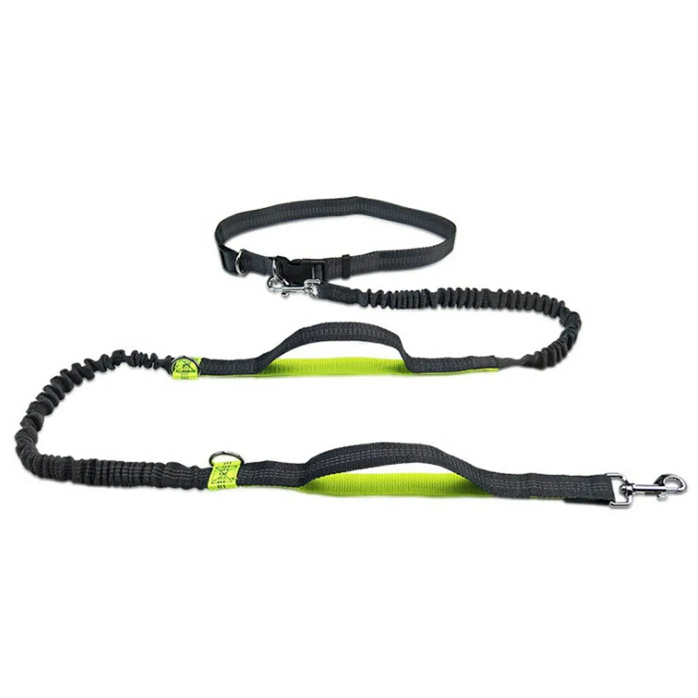 Reflective Rope Dog Leash – Hands-Free, Multi-Ring | Blue, Orange & Green