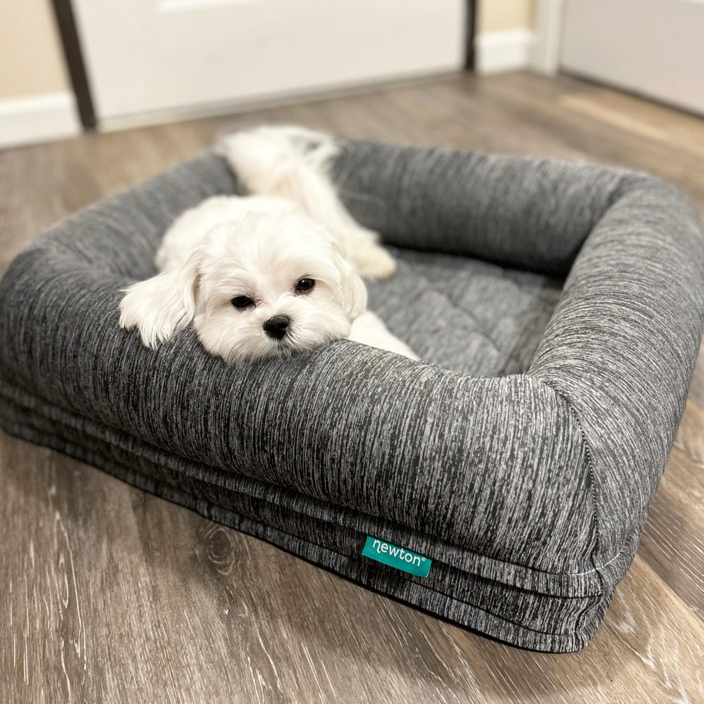 Newton Orthopedic Pet Bed - Washable Dog Bed for Small Dogs Puppy Bed Crate Bed with Removable & Breathable Dog Bed Cover Comfy & Durable Dog Bed for Small to Large Dogs Dog Essentials Small Small