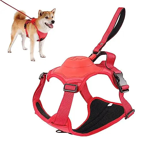 Dog Harness and Automatic Retractable Leash Kit Red