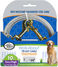 Tie Out Cable - Haevy Duty 10 ft Heavy Weight