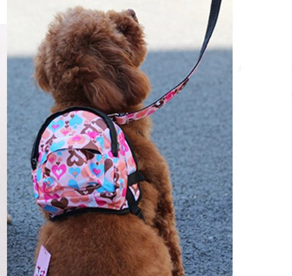 Pet Carrier Backpack Leash – Canvas, Breathable Mesh | S, M & L | 5 Colors