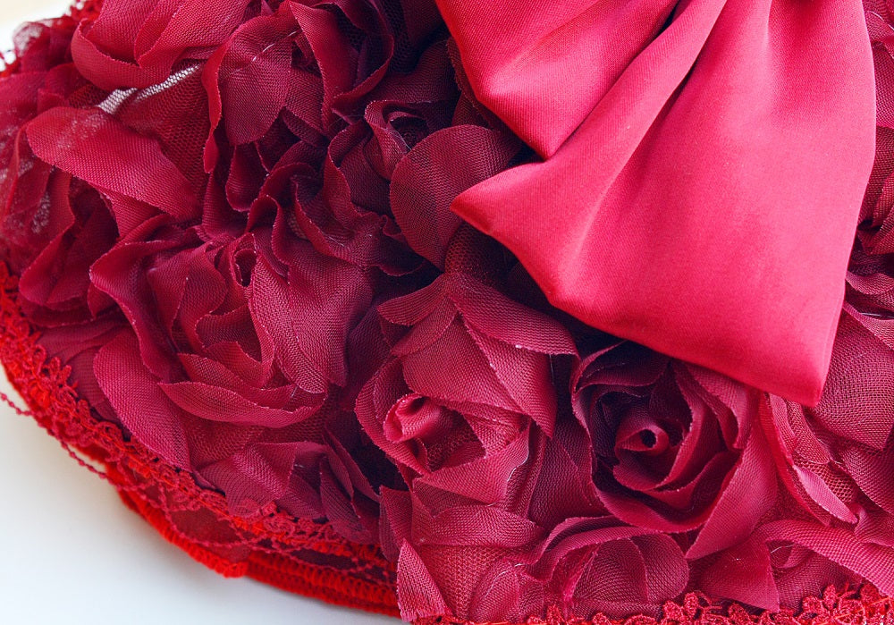 Ruby Rosette Velvet Pet Dress
