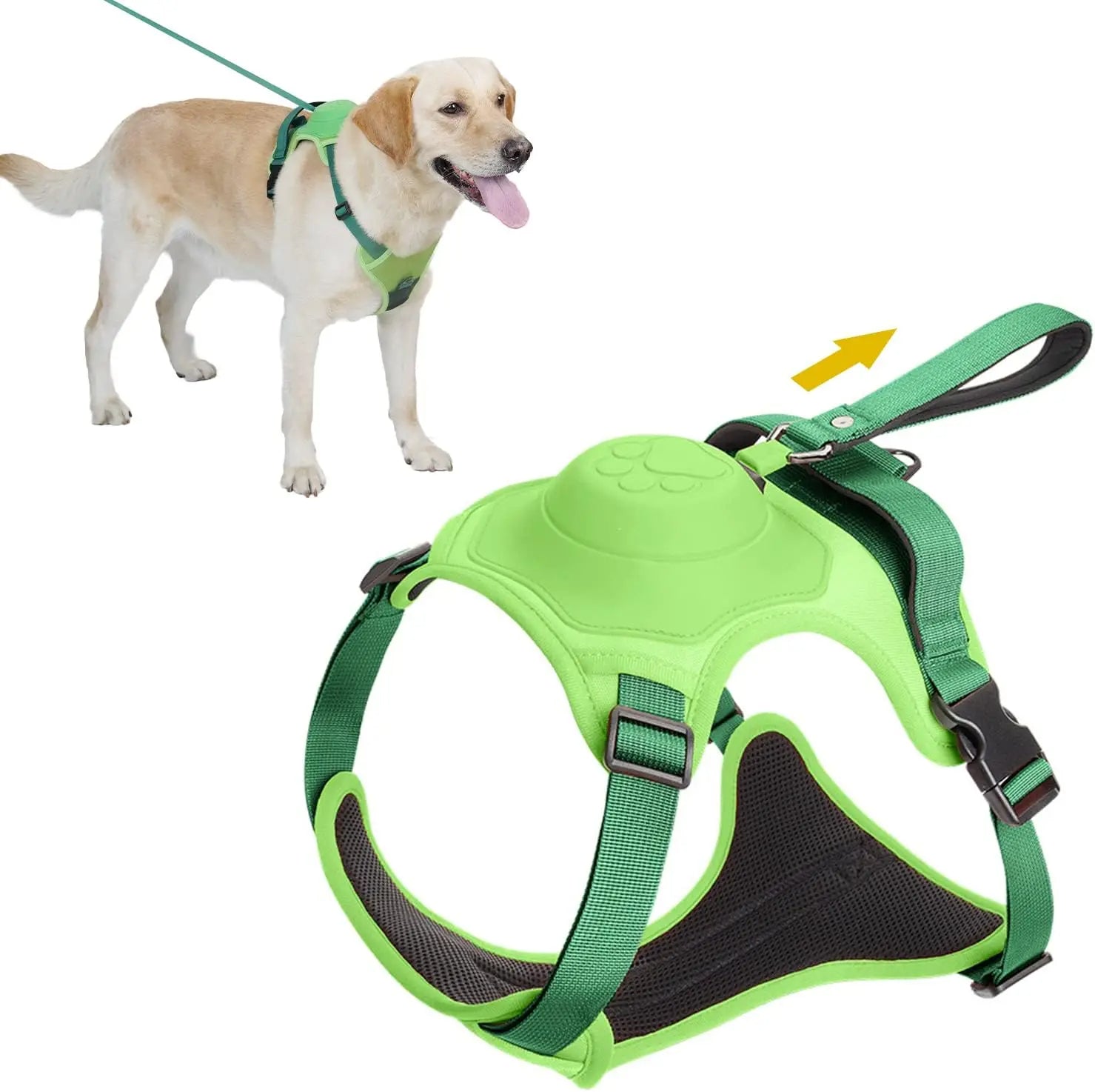 Dog Harness and Automatic Retractable Leash Kit Green