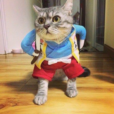 Funny Pets Costum PPYF006