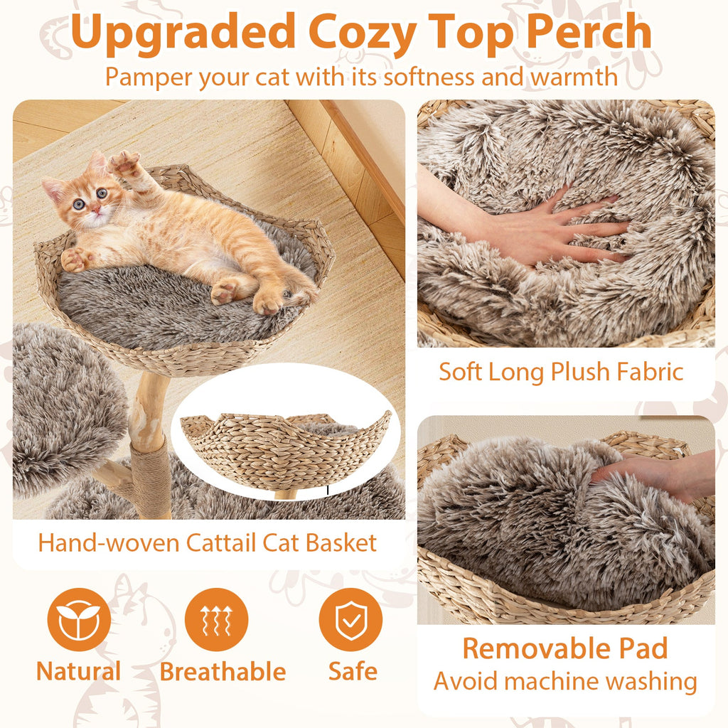 Wood Cat Tree Solid Pear Cat Tree with Perch and Sisal Scratching Posts-Brown