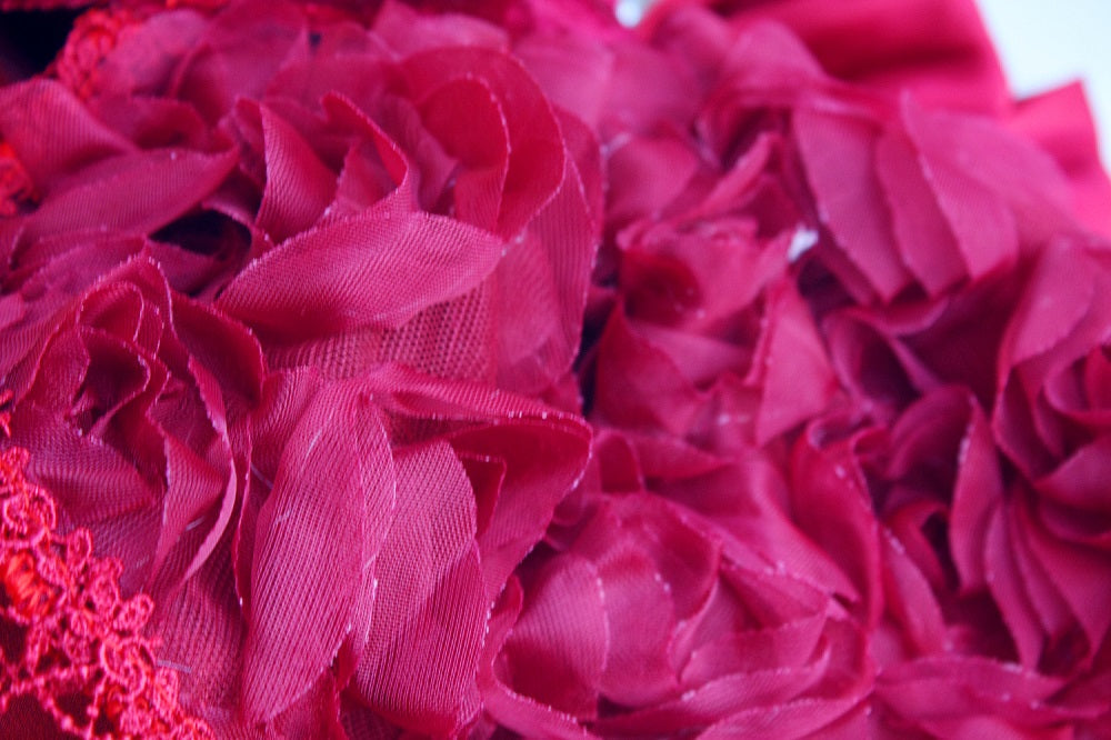 Ruby Rosette Velvet Pet Dress