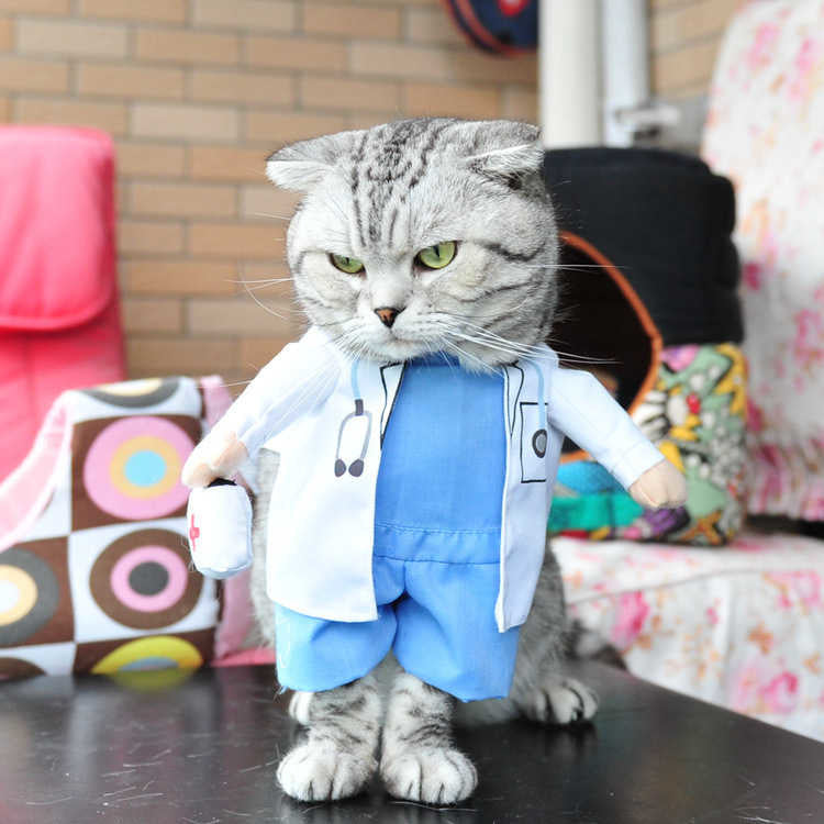 Funny Pets Costum PPYF007
