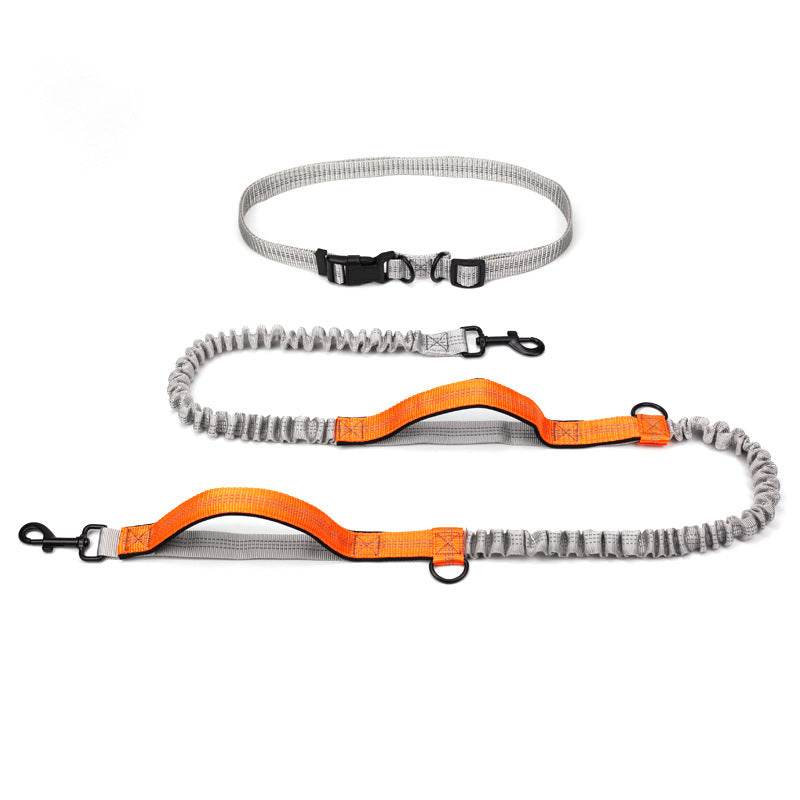 Pet Supplies Outdoor Running Dog Leash for Active Dogs Fluorescent orange
