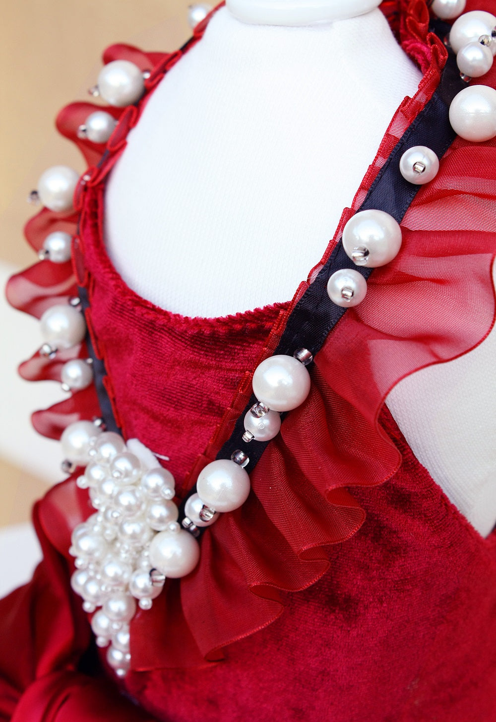 Ruby Rosette Velvet Pet Dress