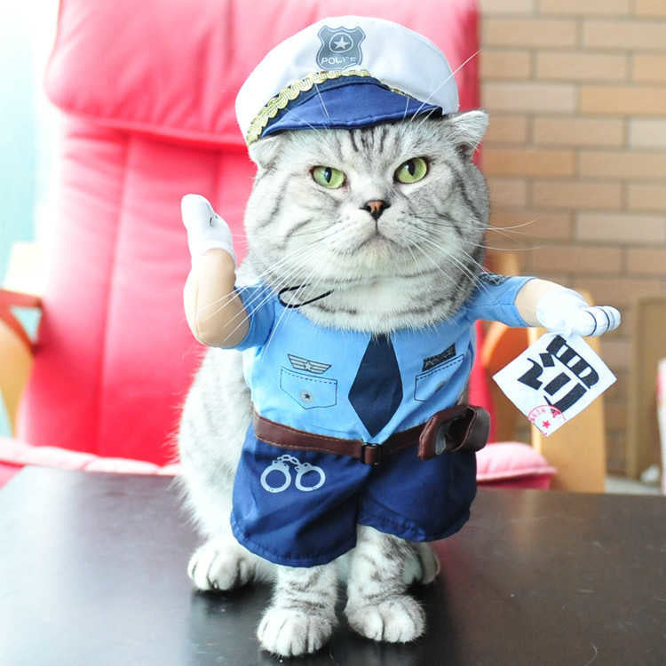 Funny Pets Costum PPYF008