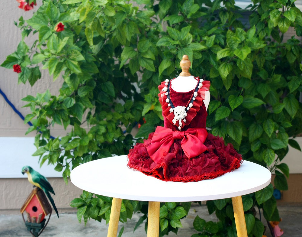Ruby Rosette Velvet Pet Dress