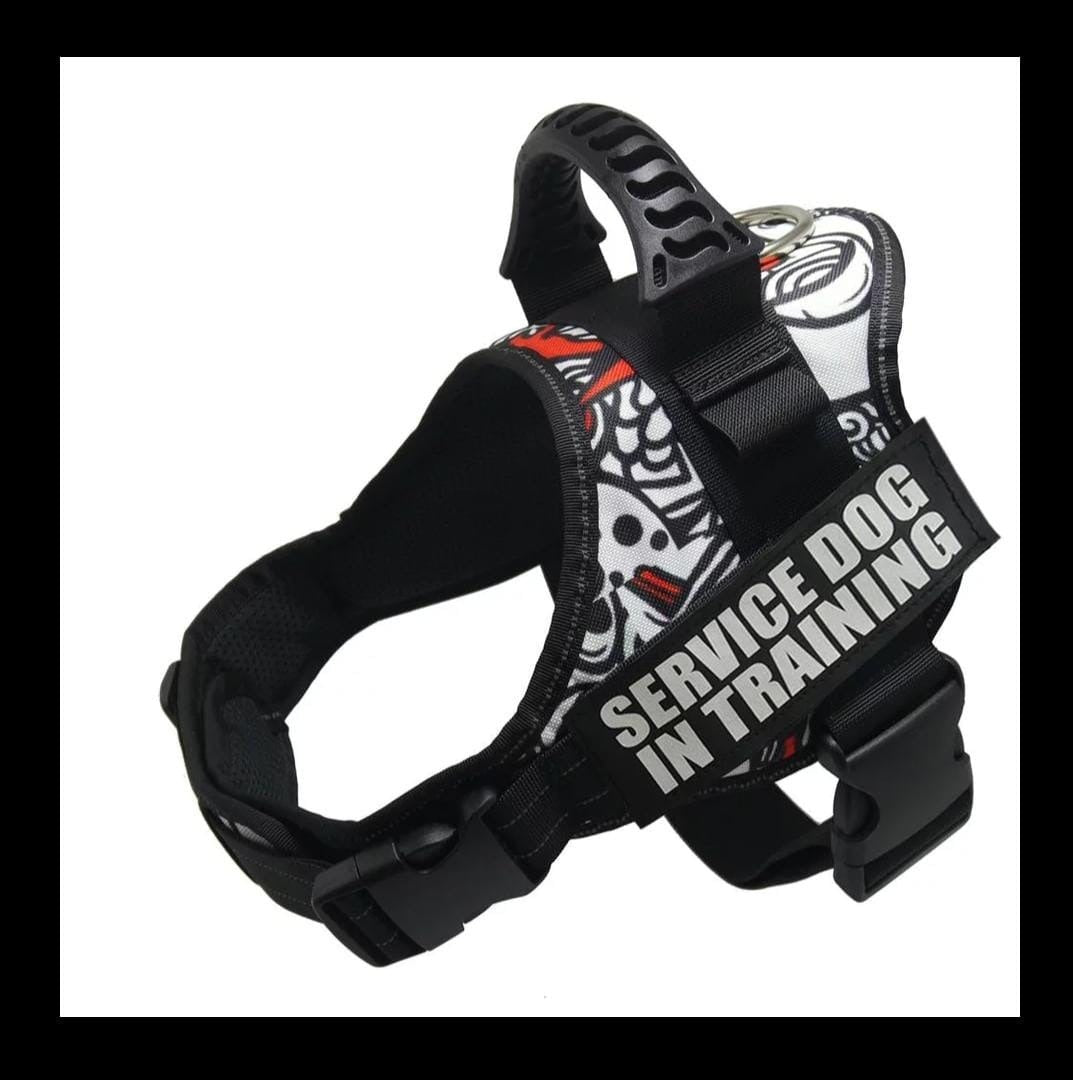 Escape-Proof Dog Chest Harness & Leash – Breathable Mesh Nylon | XS–XXL