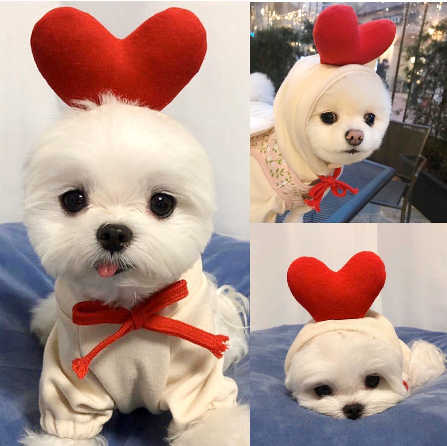 Cute Fruit Dog Clothes For Small Dogs Hoodies Winter Warm Fleece Pet Clothing Puppy Cat Costume Coat For French Chihuahua Outfit 2 Style