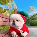 Cute Fruit Dog Clothes For Small Dogs Hoodies Winter Warm Fleece Pet Clothing Puppy Cat Costume Coat For French Chihuahua Outfit 1 Style