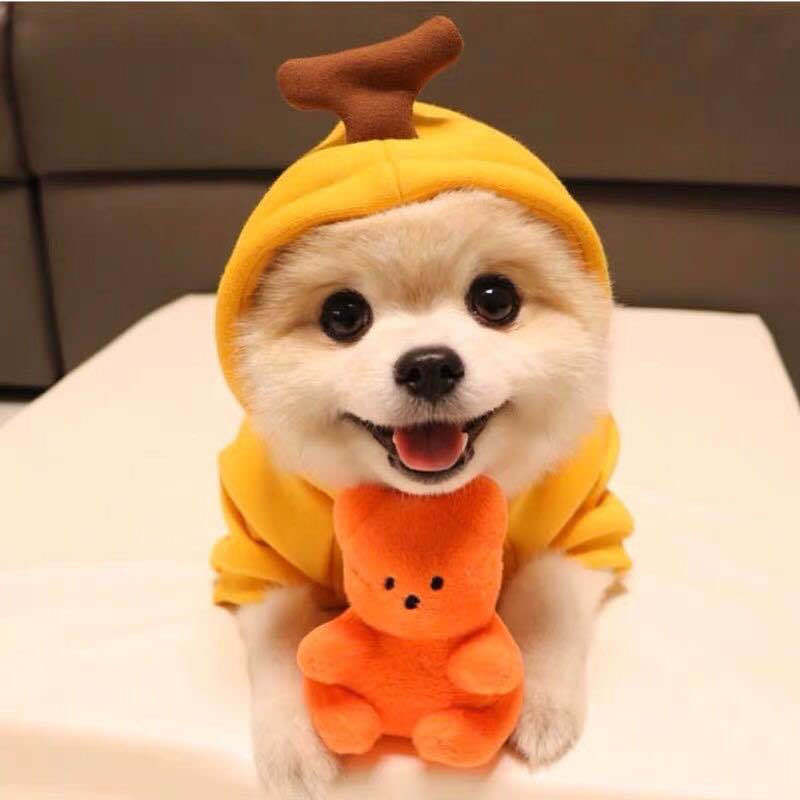 Cute Fruit Dog Clothes For Small Dogs Hoodies Winter Warm Fleece Pet Clothing Puppy Cat Costume Coat For French Chihuahua Outfit 7 Style
