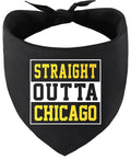 Straight Outta Chicago Pet Bandana Black