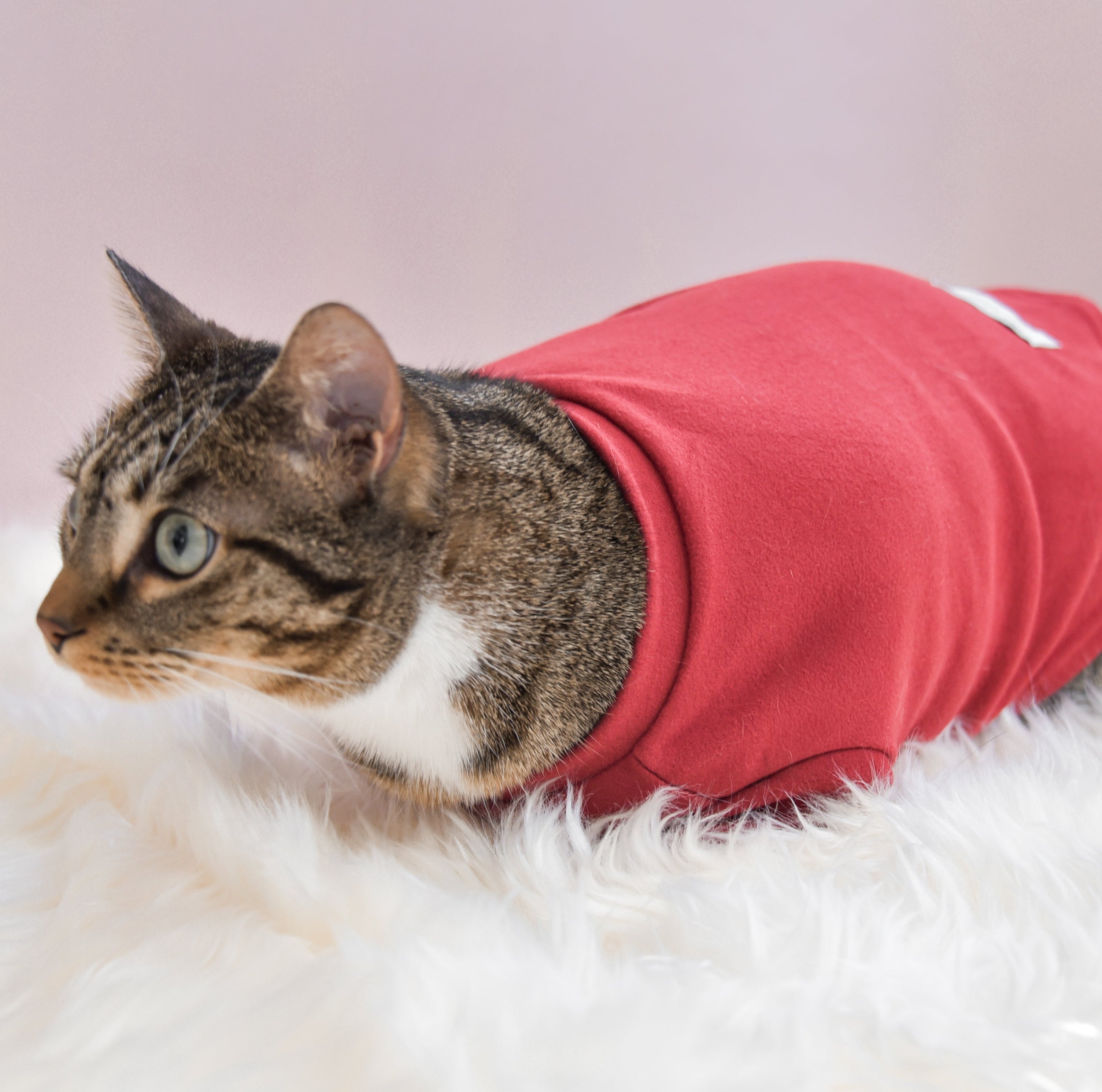 Fur Elise Spoiled Mock Neck Shirt — Lucky in Love