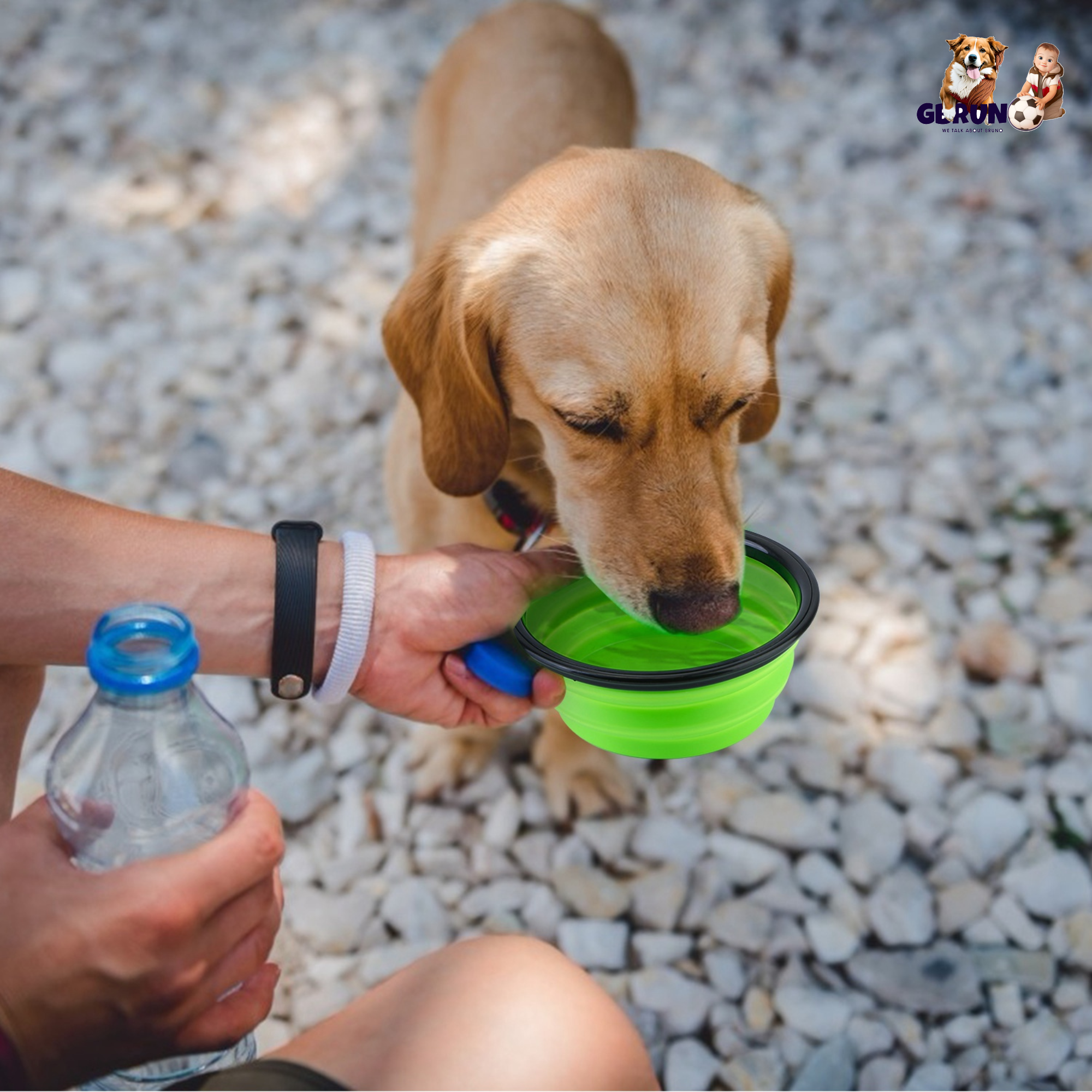 4Pcs Silicone Collapsible Dog Bowls BPA Free Travel Dog Bowl Foldable Cat Dog Food Water Bowl w/ Carabiner Clip For Traveling Walking Hiking