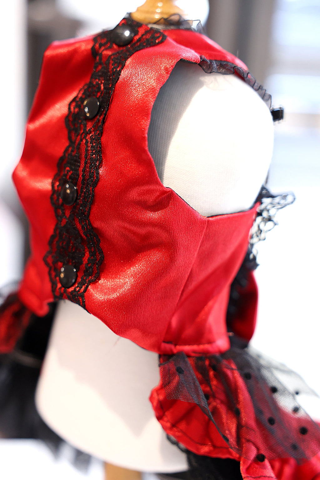 Red Black Gothic Lace Pet Dress
