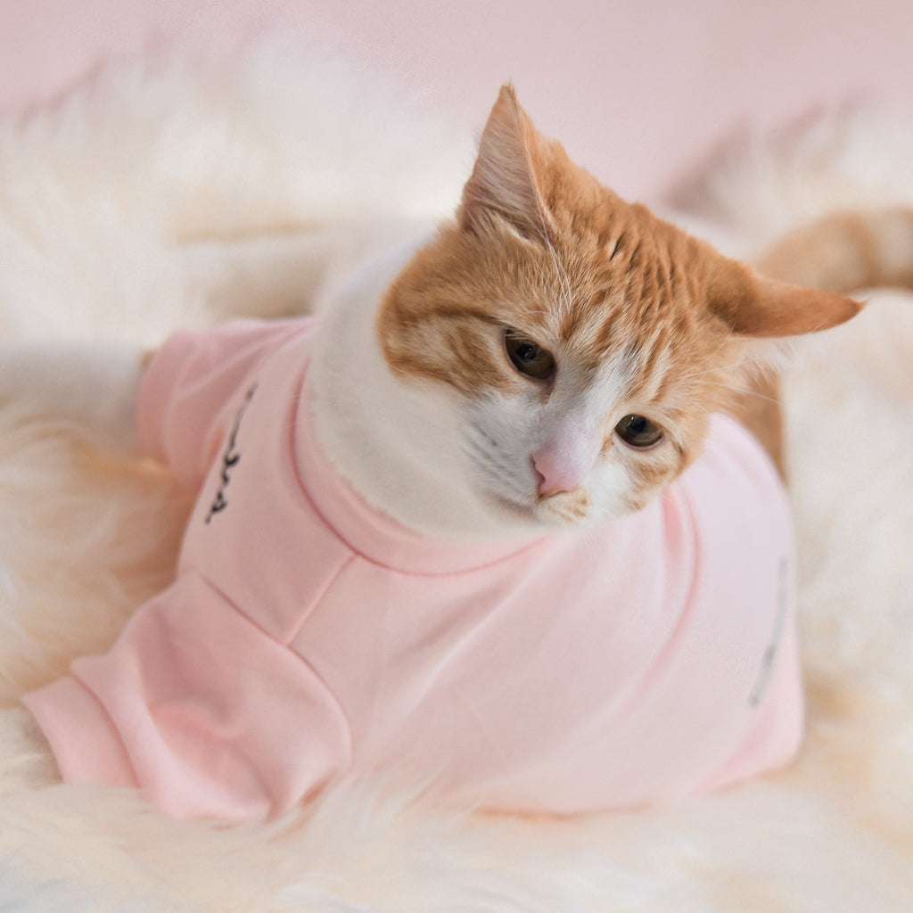 Fur Elise Spoiled Mock Neck Shirt — Cupid’s Blush