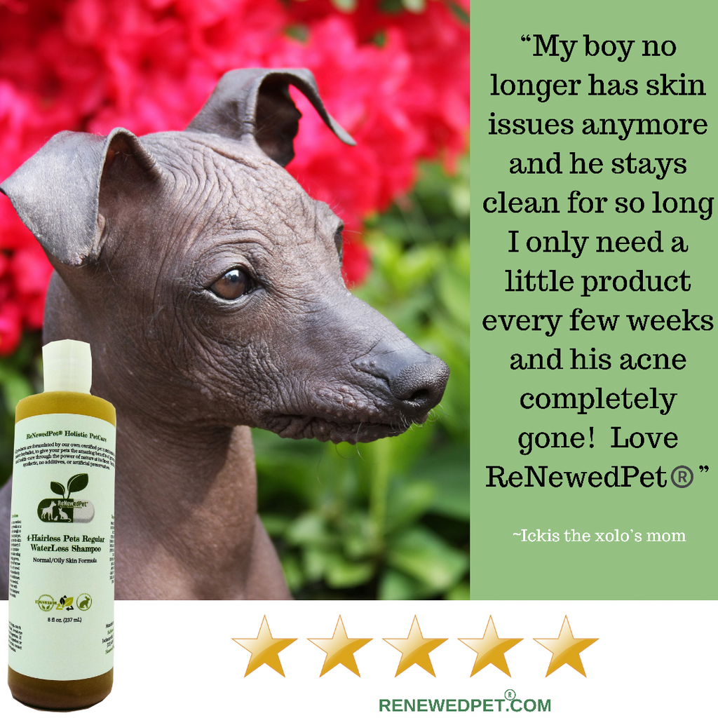 4-HAIRLESS PETS REGULAR CONDITIONER 2 OZ. ($6.97 oz.)