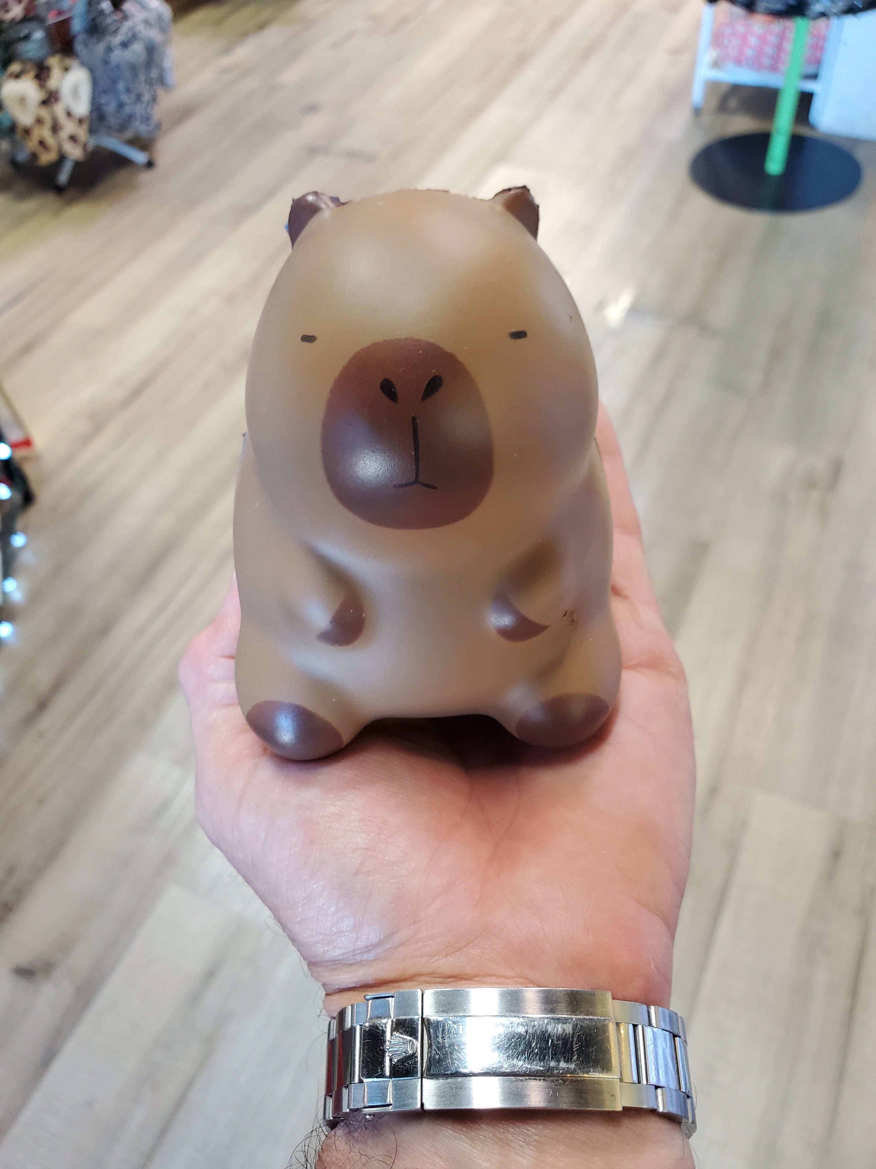 Capybara Squishy Animals - Super Soft