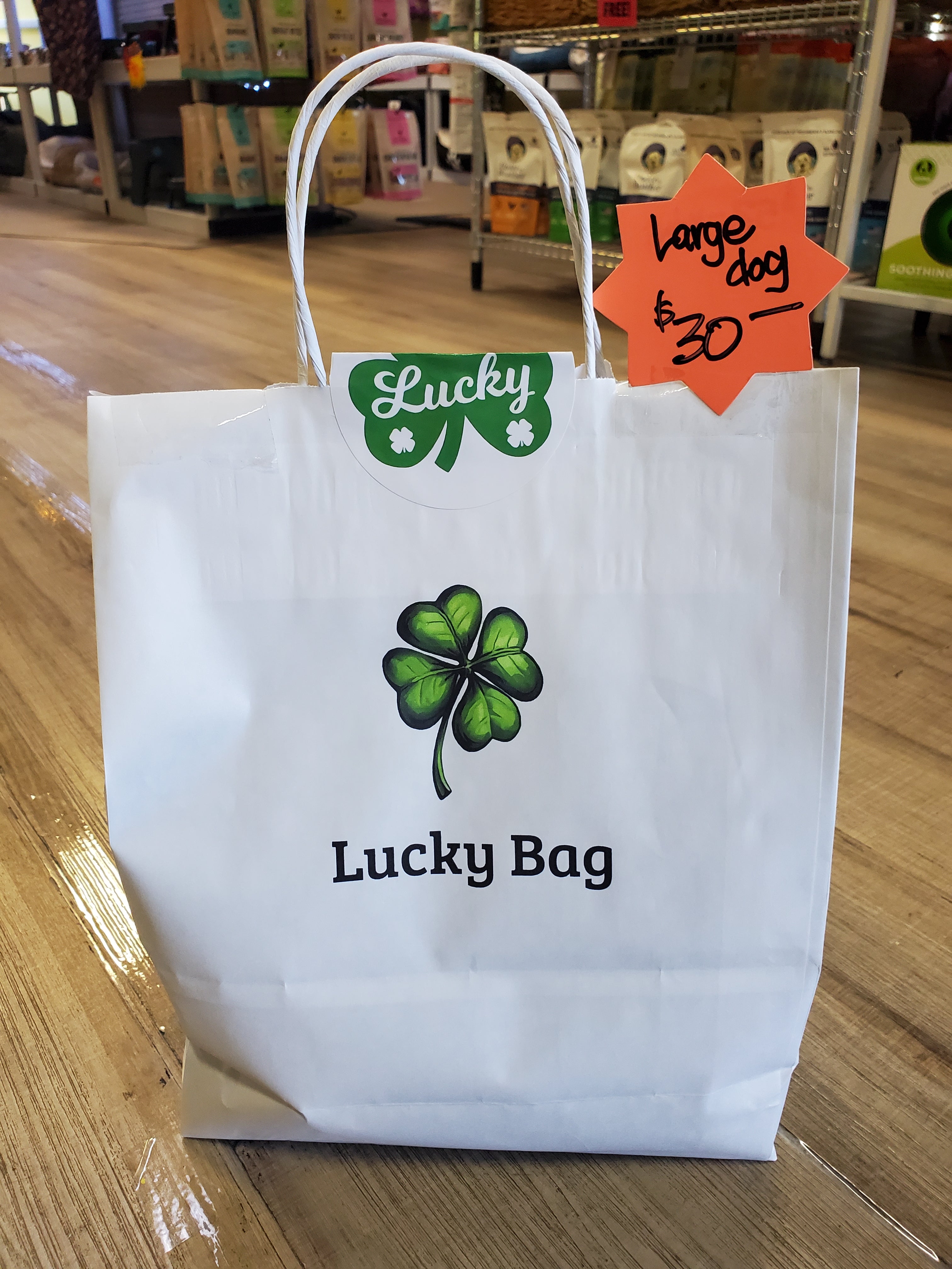 Lucky Bag Large