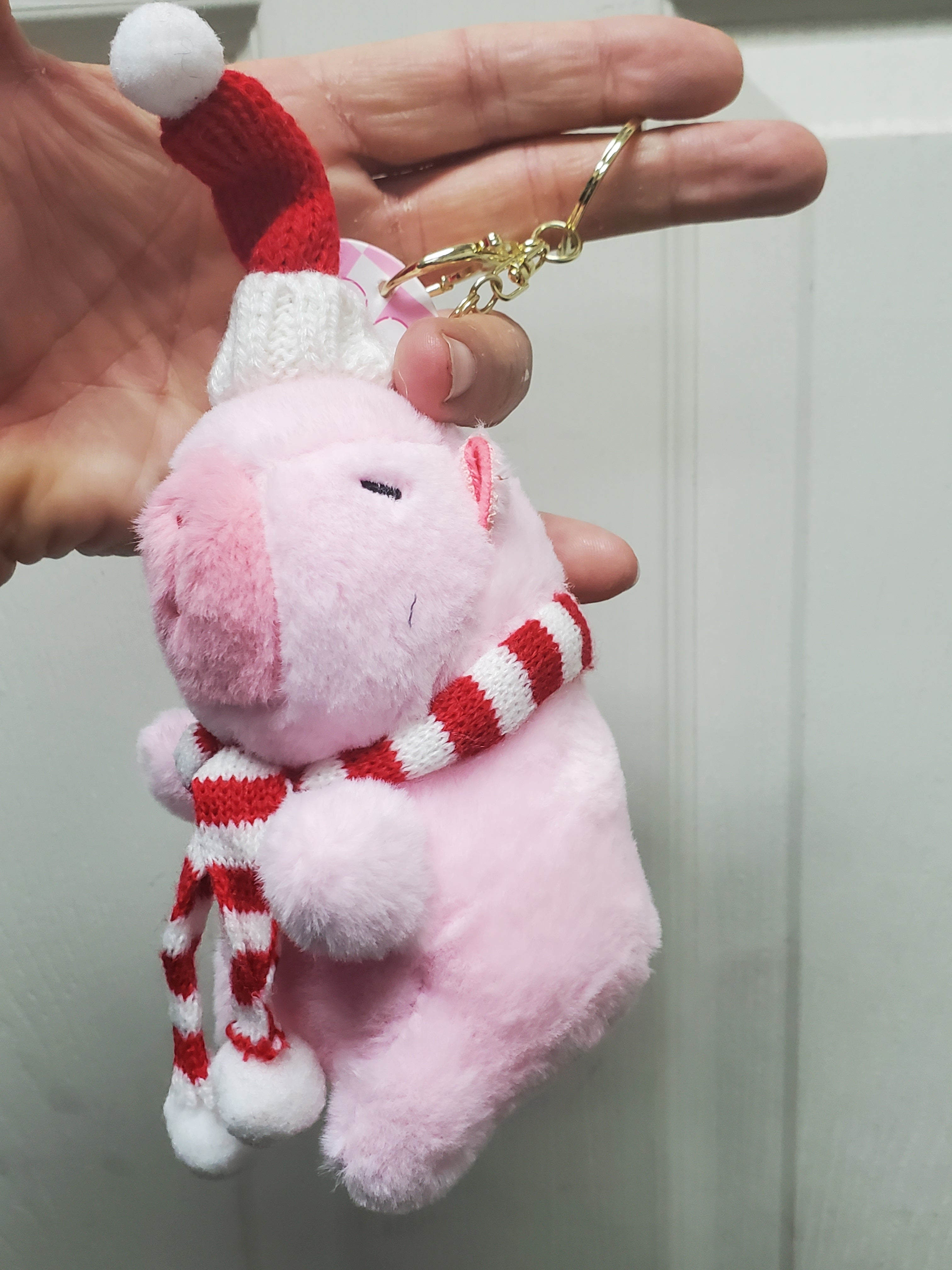 Capybara Stuffed Animals w/keychain