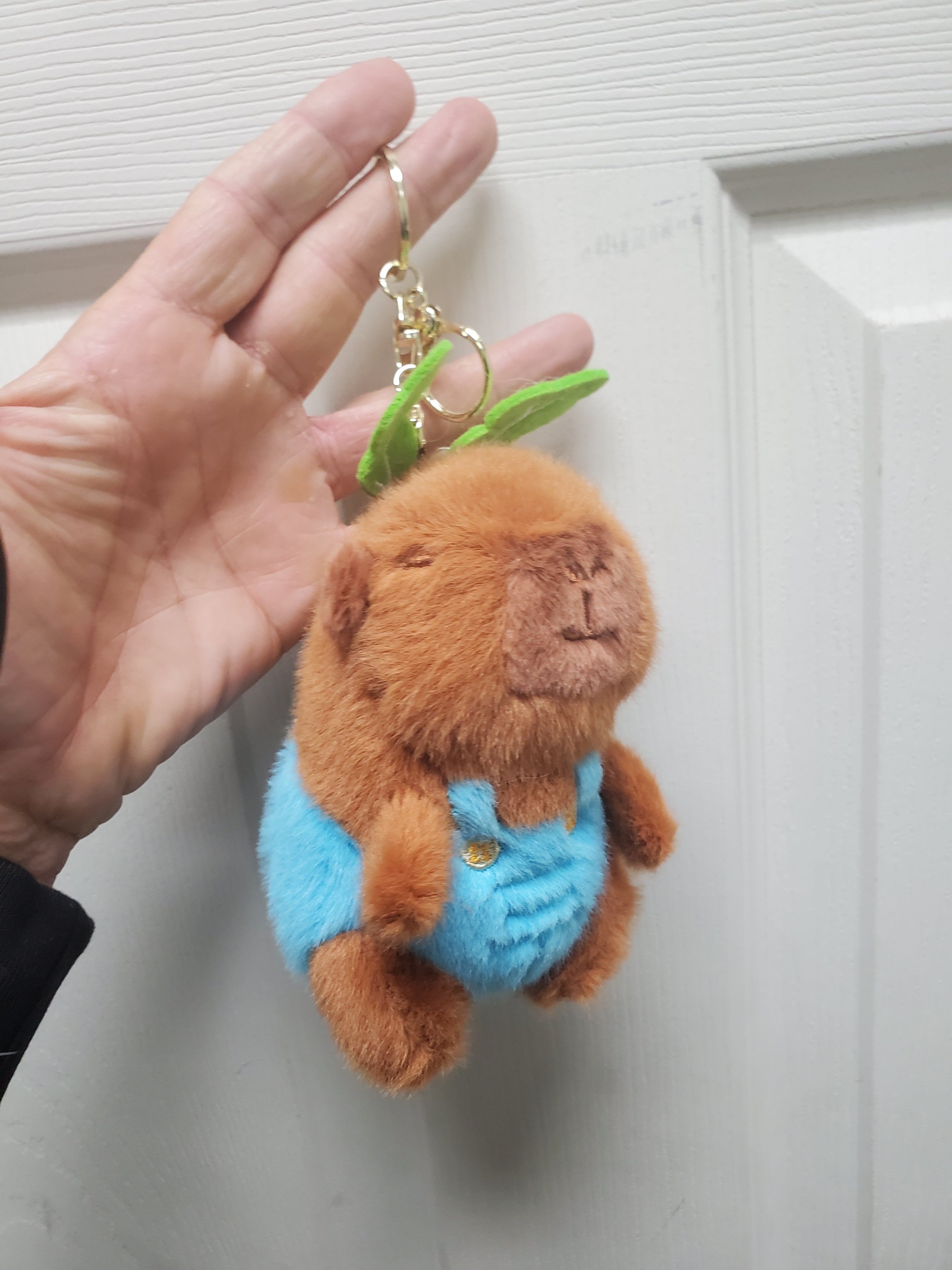 Capybara Stuffed Animals w/keychain Overalls