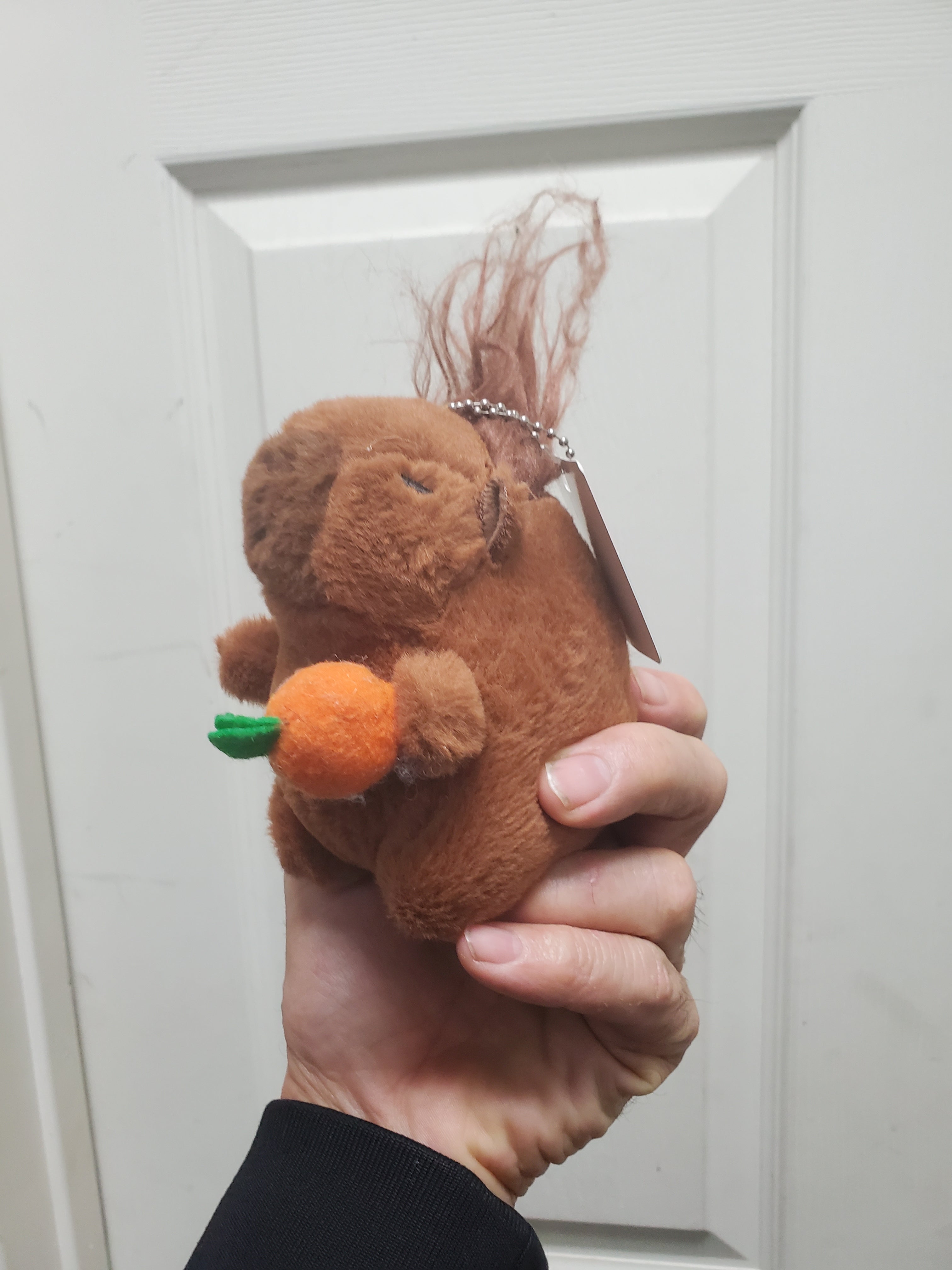 Capybara Stuffed Animals w/keychain Crazy Hair