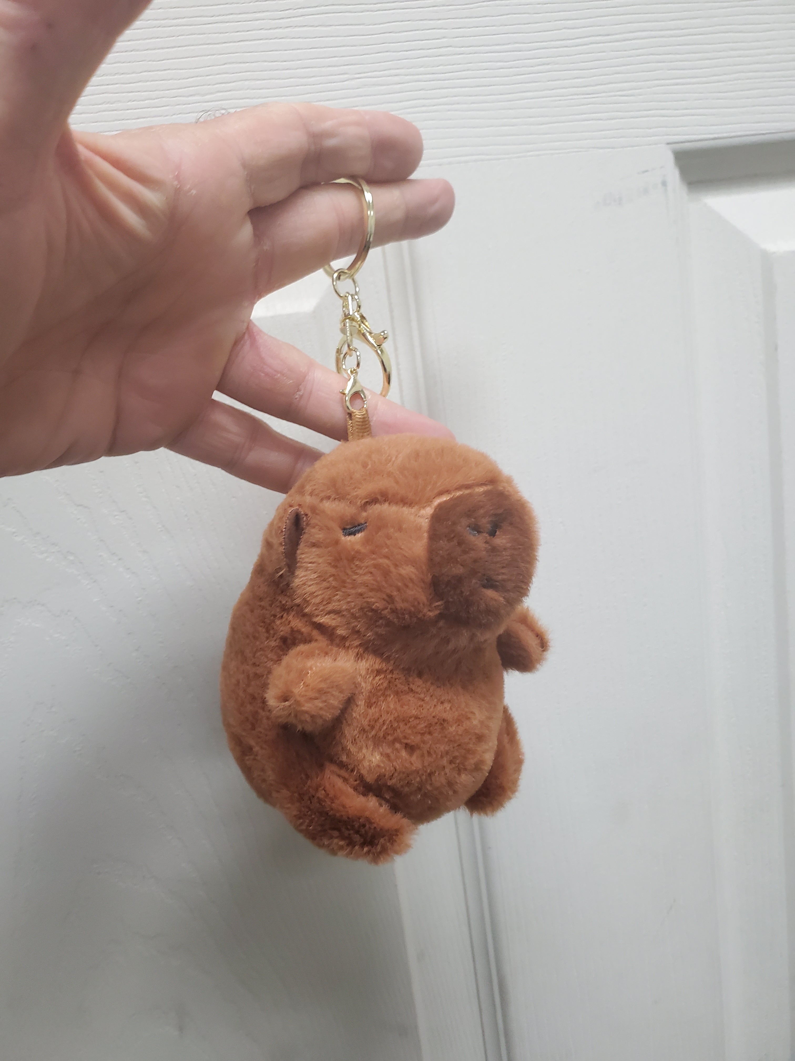 Capybara Stuffed Animals w/keychain