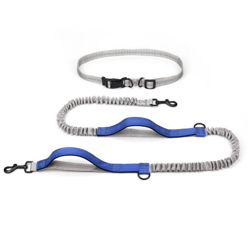 Pet Supplies Outdoor Running Dog Leash for Active Dogs Royal blue