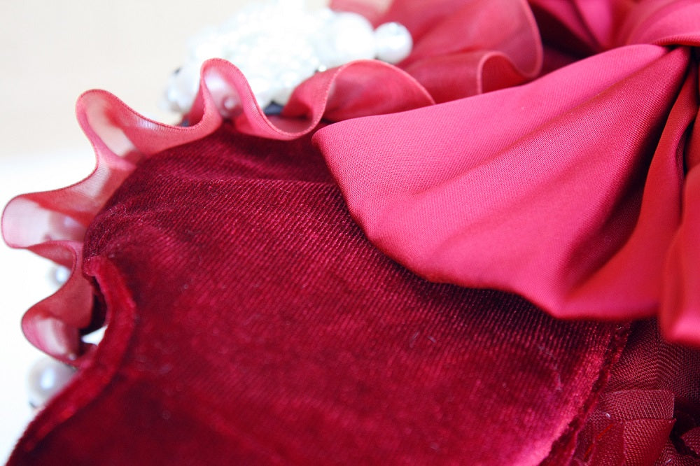 Ruby Rosette Velvet Pet Dress