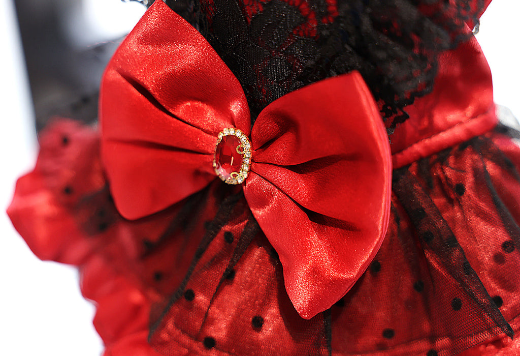 Red Black Gothic Lace Pet Dress