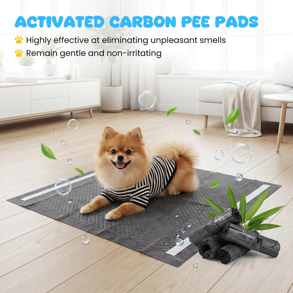 24" x 24" Charcoal Dog Pee Pads 6-Layer for Dogs