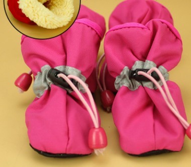 Pets, shoes, dogs, soft bottom shoes, size dogs, Teddy, home, antiskid shoes, and warm boots. Rose Red B