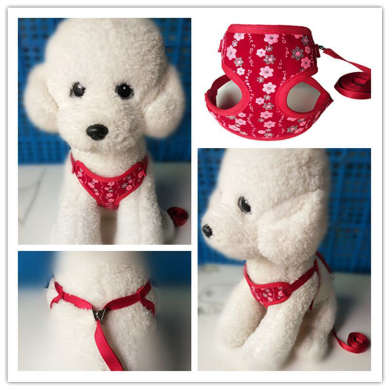 Small Dog & Cat Leash – Cute Floral Pattern | 4 Colors, S & L