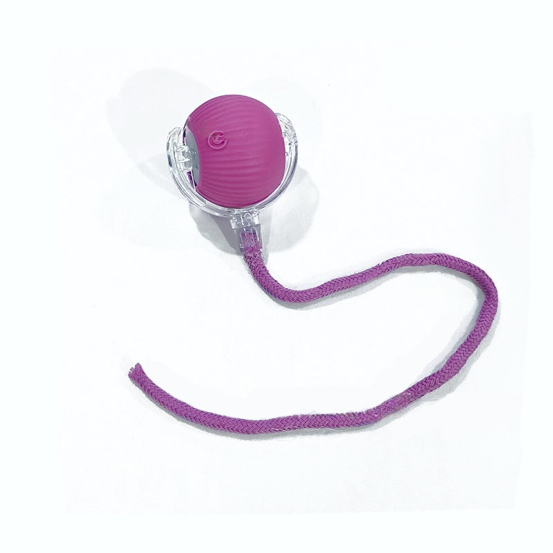 Cat Interactive Ball Toys Automatic Rolling Ball For Kitten Rechargeable Smart Pet Electric Toys With Teaser Sensor Cat Ball Toy Purple