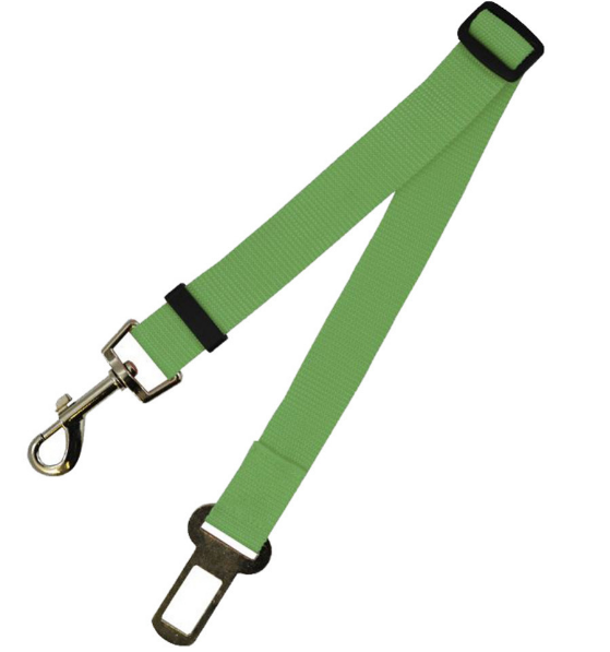 Fixed Strap Polyester Dog Strap Leash 70cm Green