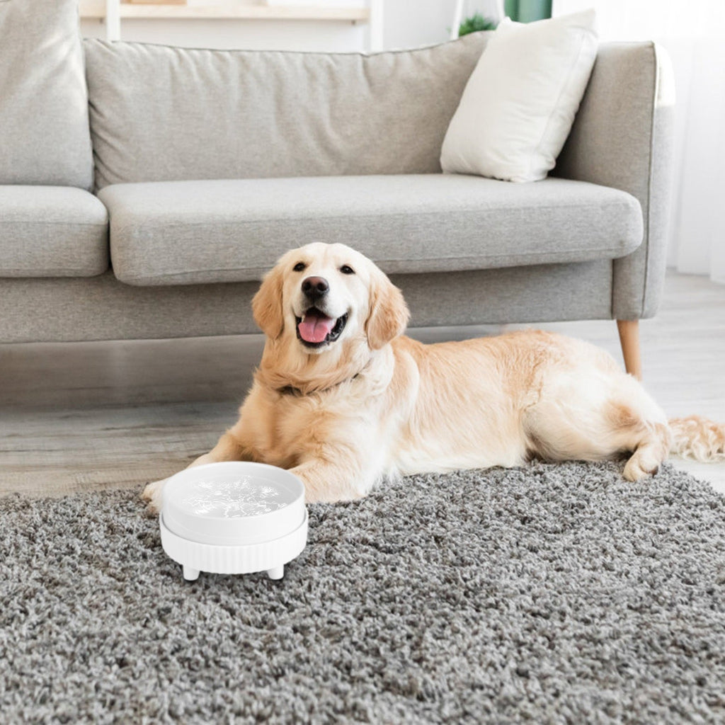 Heated Water Bowl For Dogs And Cats Ceramic Heated Pet Water Bowl Food Warmer USB Powered Thermal Pet Bowl Provide Fresh Non Freezing Drinkable Water