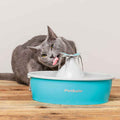 PetSafe Drinkwell Butterfly Pet Fountain