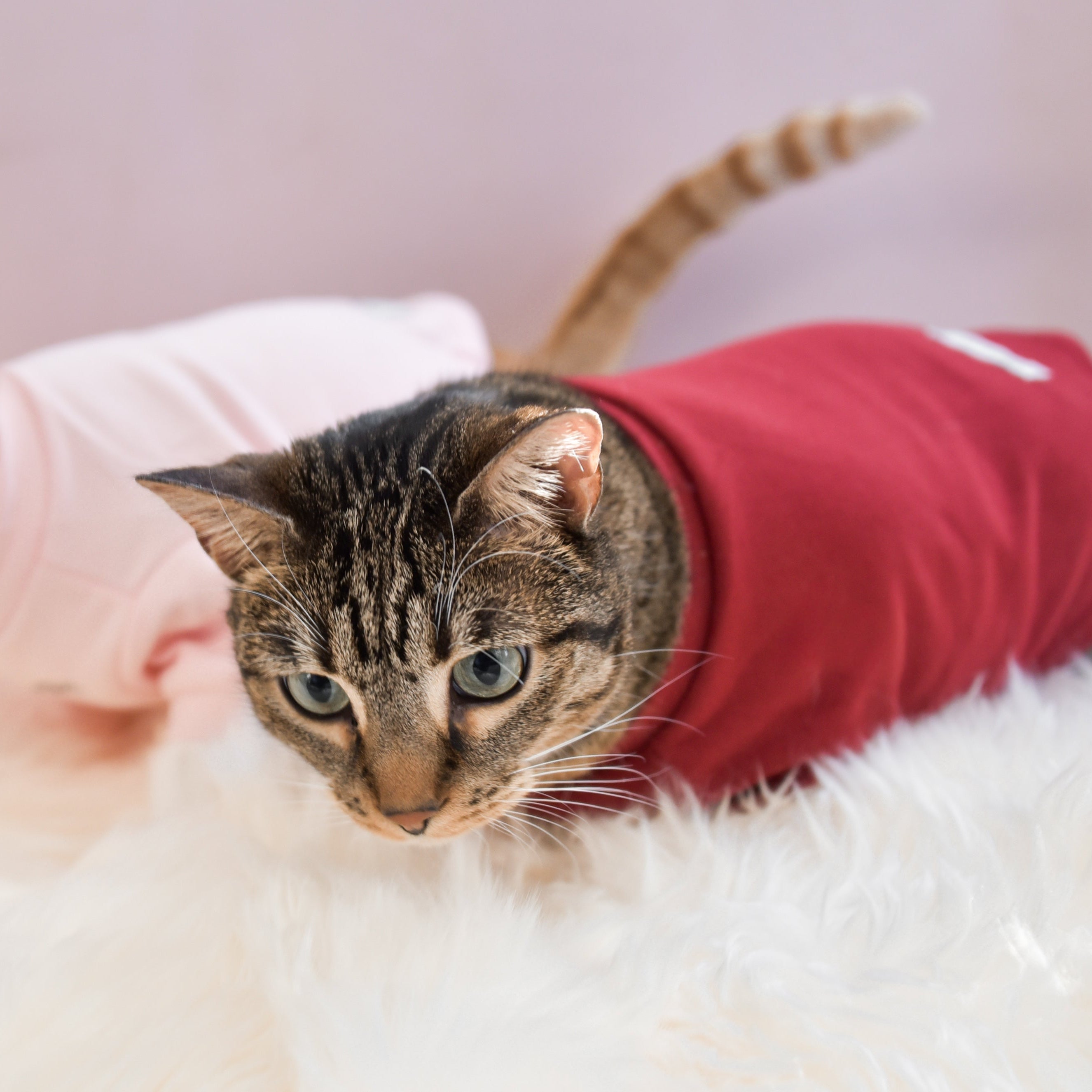 Fur Elise Spoiled Mock Neck Shirt — Lucky in Love