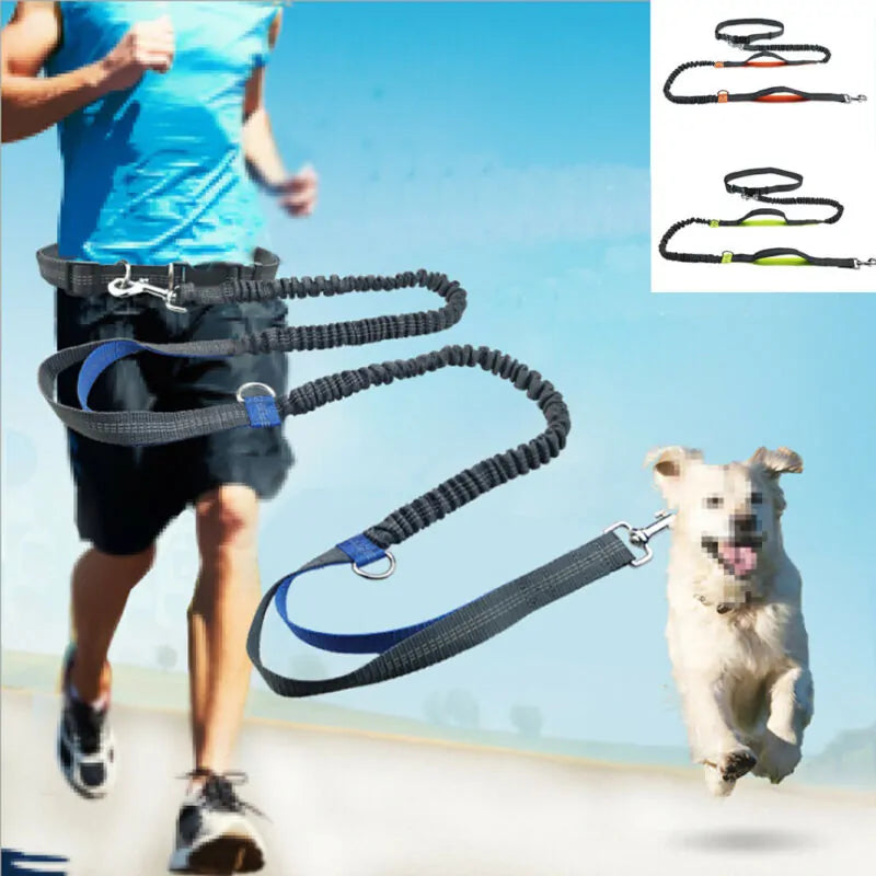 Reflective Rope Dog Leash – Hands-Free, Multi-Ring | Blue, Orange & Green